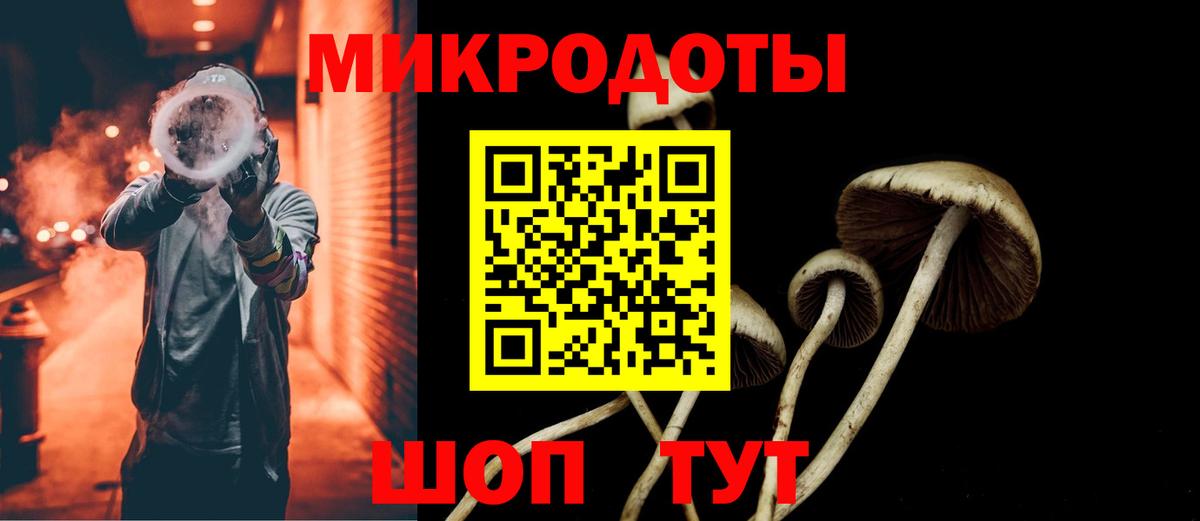Галлюциногенные грибы Magic Shrooms  Вход с VPN  Луга  Галлюциногенные грибы Psilocybe 